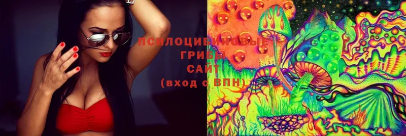 MEGA рабочий сайт  Калтан  Галлюциногенные грибы Psilocybe 